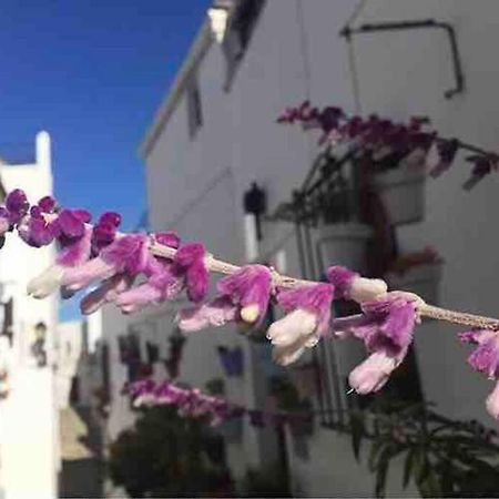 Casa Arena Y Sal En Pleno Casco Antiguo De Vejer Villa Vejer de la Frontera Buitenkant foto